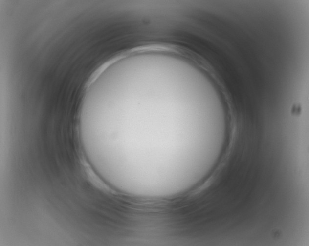 X0000114671417200910210958