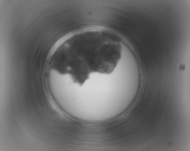 X0000114671418200910210958