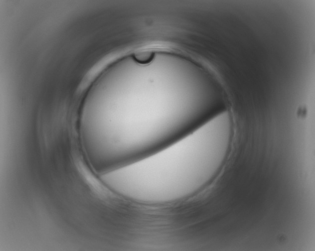 X0000114671422200910210959