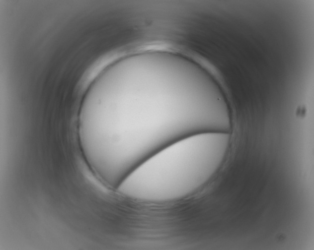 X0000114671423200910210959