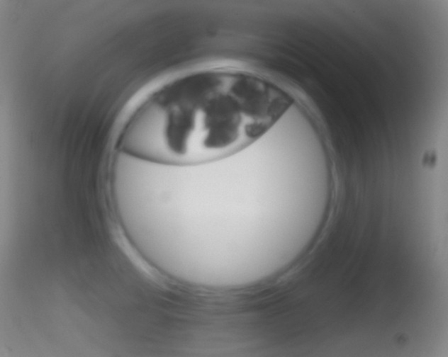 X0000114671424200910210959