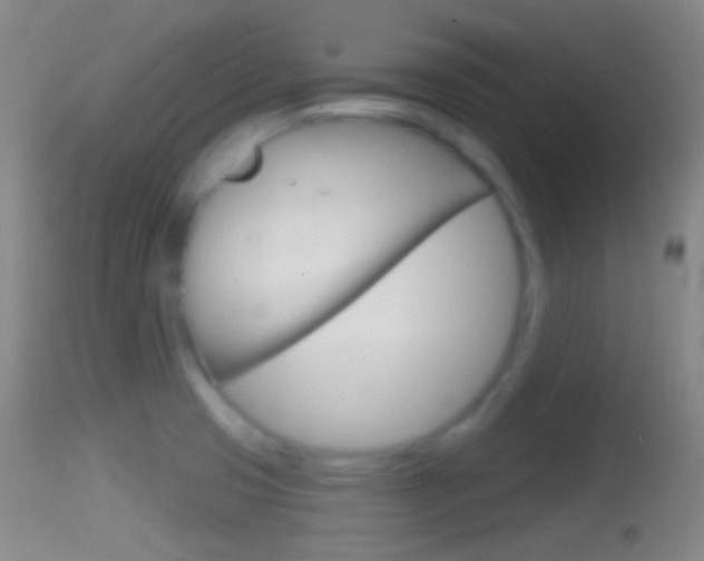 X0000114671425200910210959