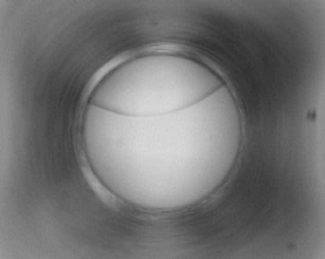 X0000114671426200910210959