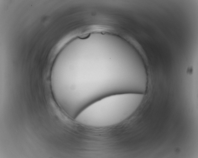 X0000114671427200910210959