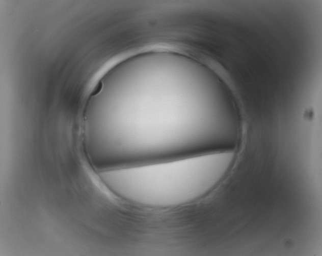 X0000114671428200910210959
