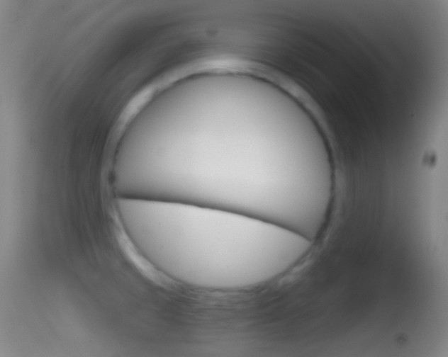 X0000114671429200910210959