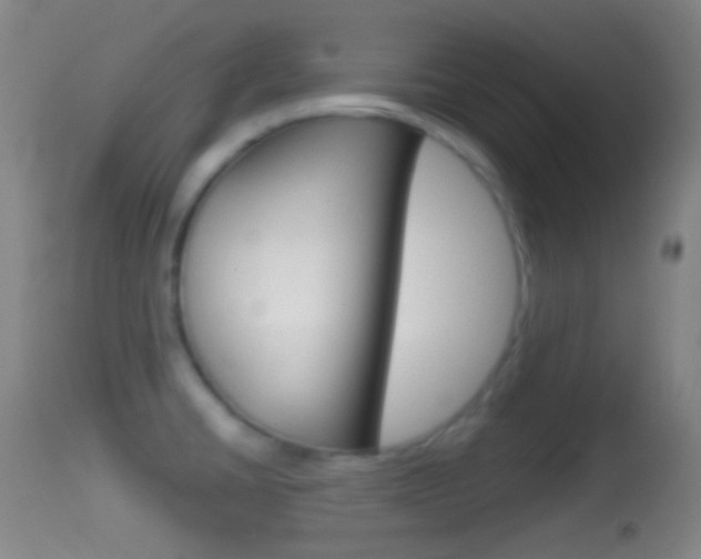X0000114671430200910210959