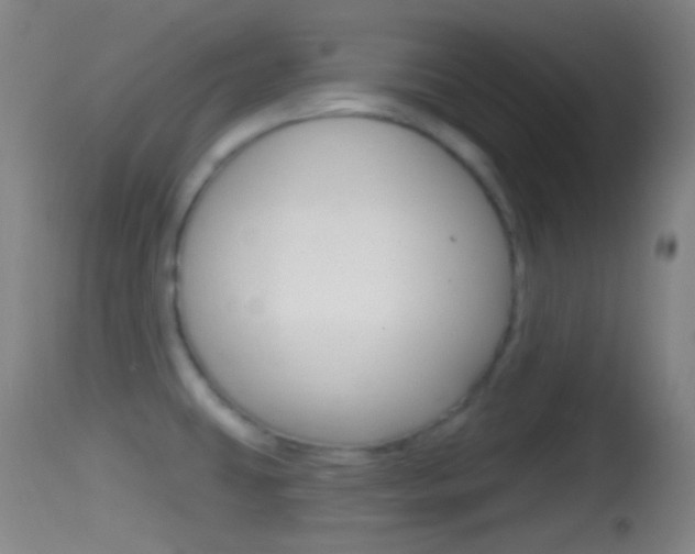 X0000114671431200910210959
