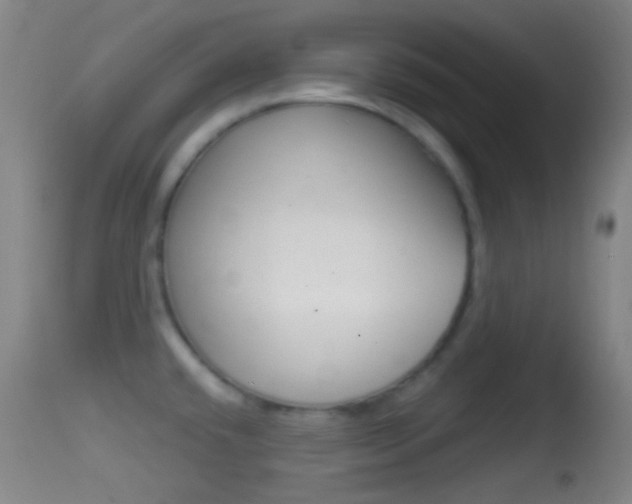 X0000114671432200910210959