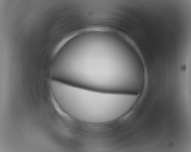 X0000114671433200910210959