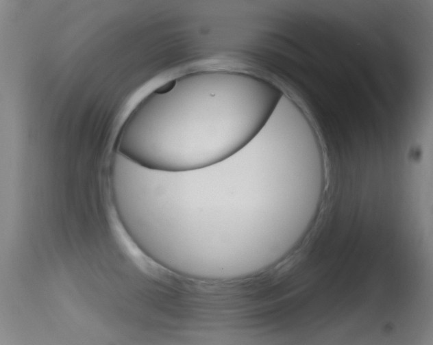 X0000114671434200910210959