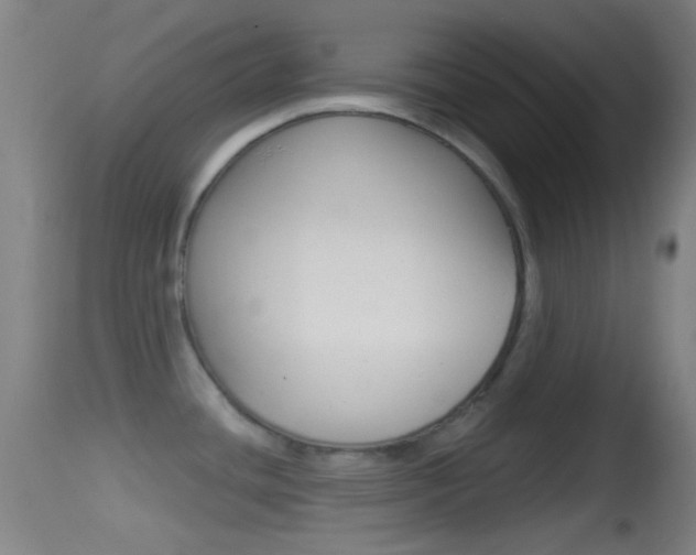 X0000114671436200910210959