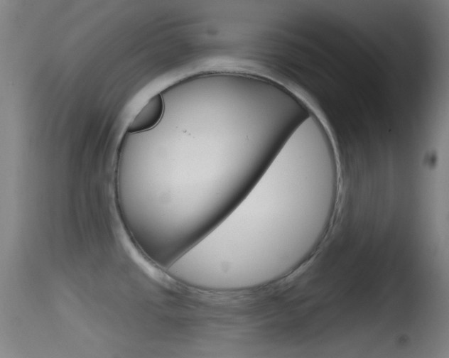 X0000114671437200910210959