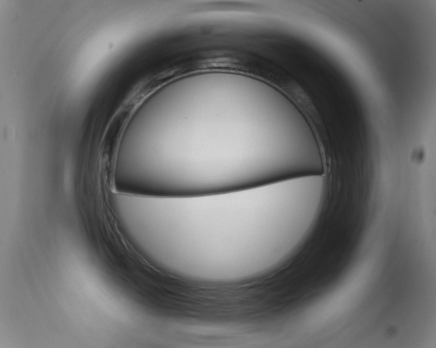 X0000114671438200910210959