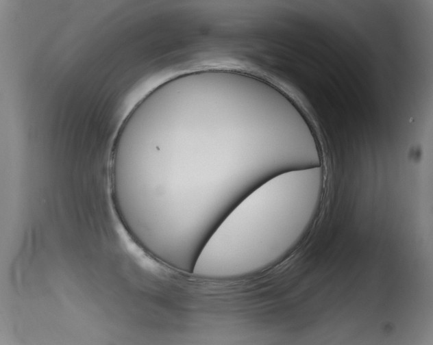 X0000114671439200910210959