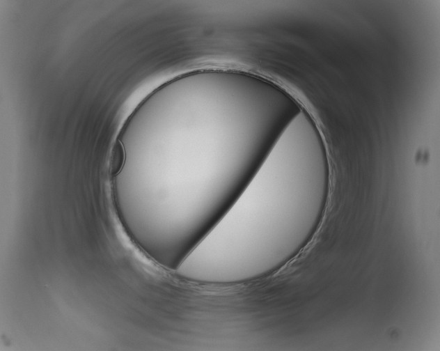 X0000114671440200910210959