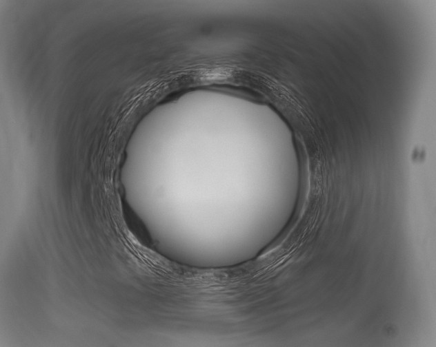 X0000114671441200910210958