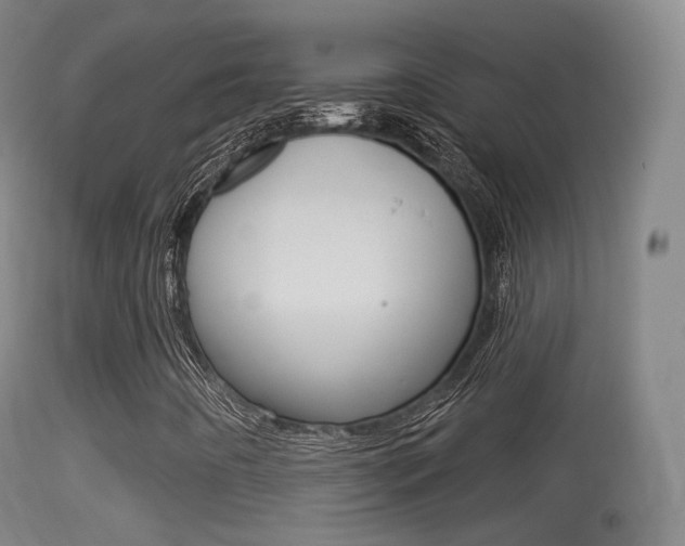 X0000114671442200910210958