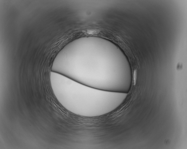 X0000114671443200910210958