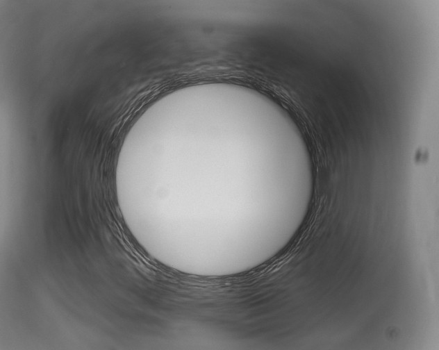 X0000114671444200910210958