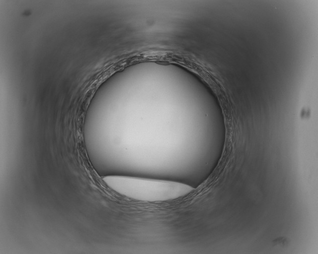 X0000114671445200910210958