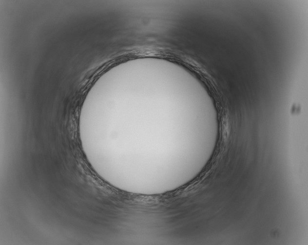 X0000114671446200910210958