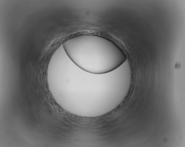 X0000114671447200910210958
