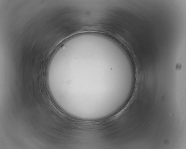 X0000114671449200910210958