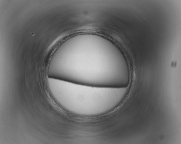 X0000114671450200910210958