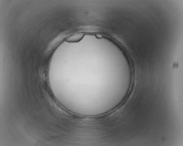 X0000114671451200910210958