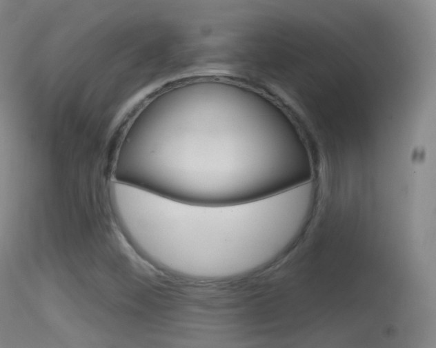 X0000114671452200910210958