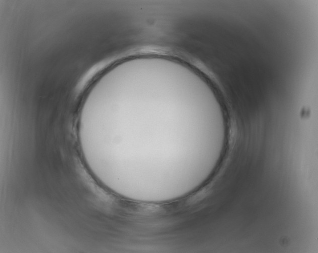 X0000114671454200910210958