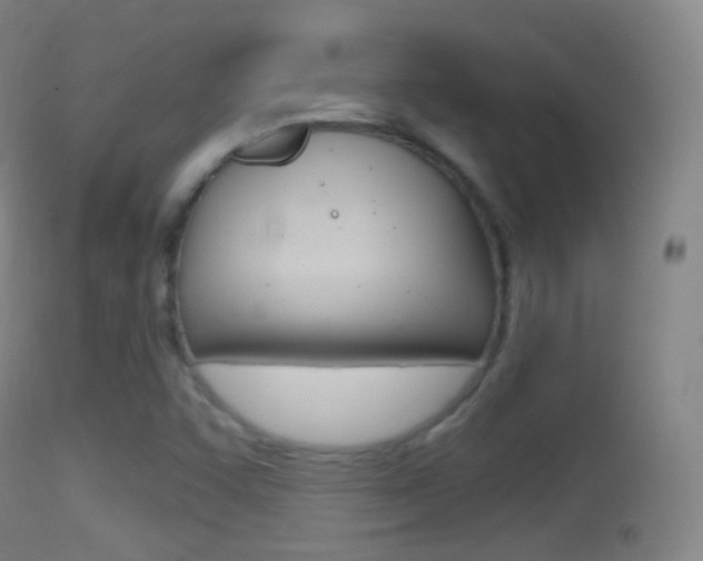 X0000114671455200910210958