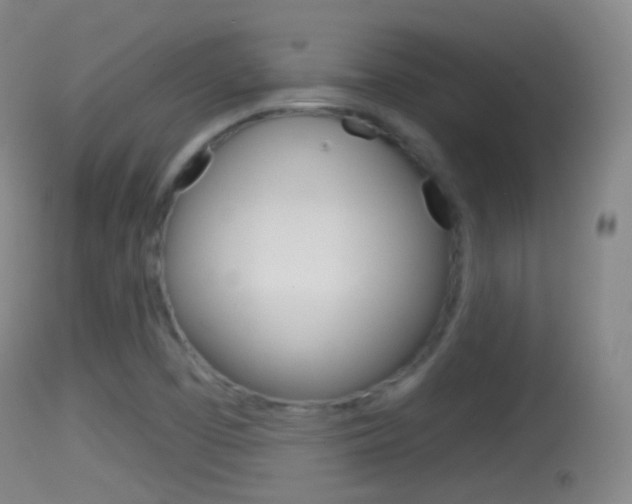 X0000114671457200910210958