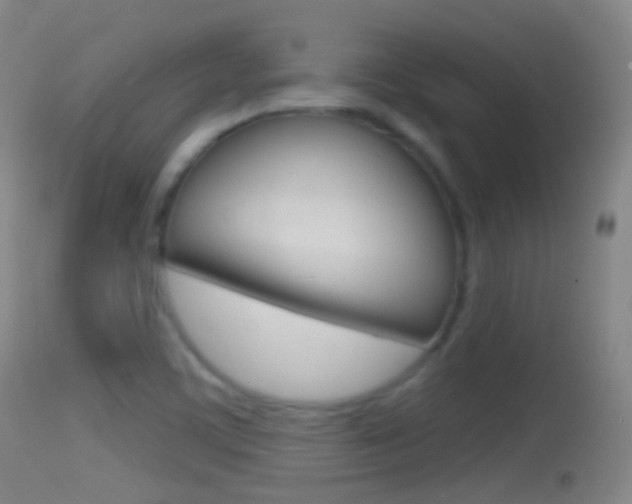 X0000114671459200910210958