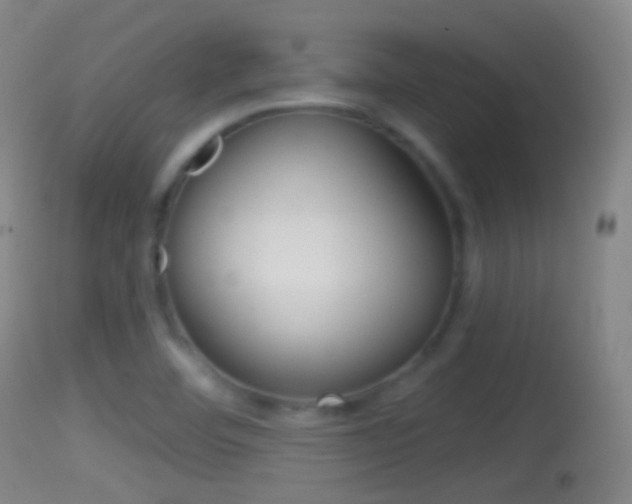 X0000114671460200910210958