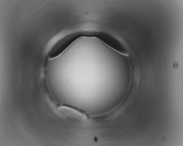 X0000114671461200910210958
