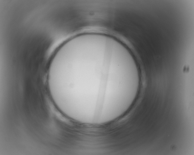 X0000114671462200910210958