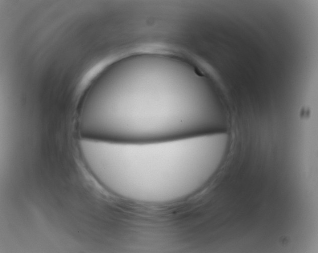 X0000114671463200910210958