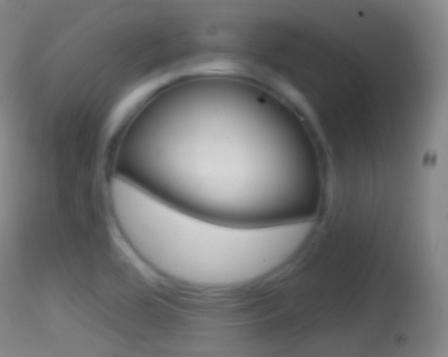 X0000114671464200910210958