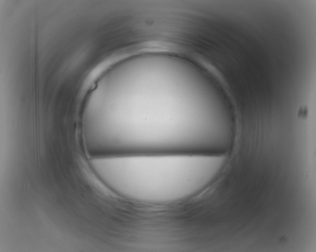 X0000114671467200910210958