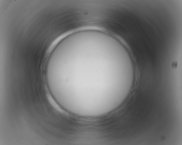 X0000114671468200910210958