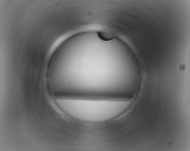 X0000114671469200910210958