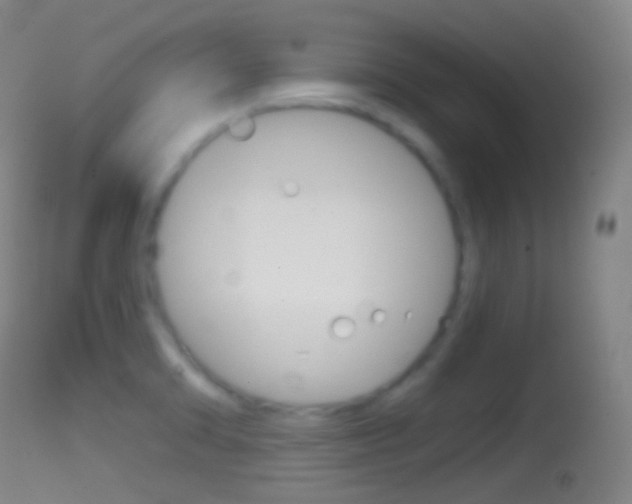 X0000114671470200910210958