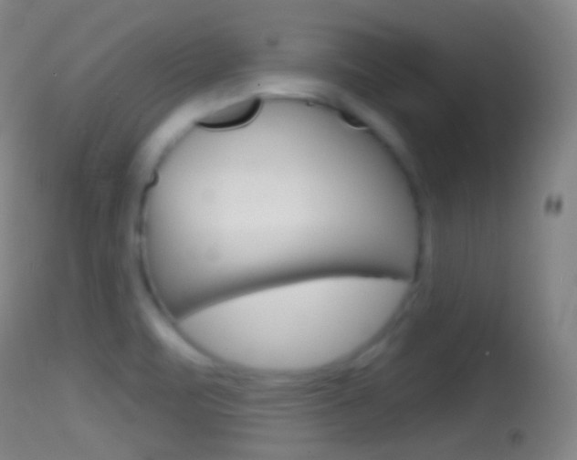 X0000114671471200910210958
