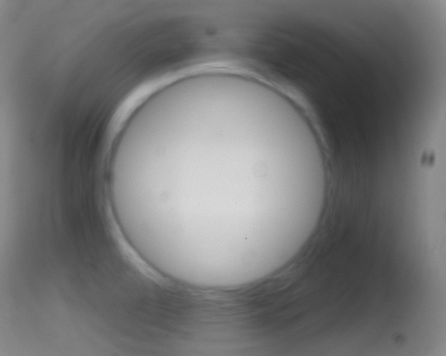 X0000114671472200910210958