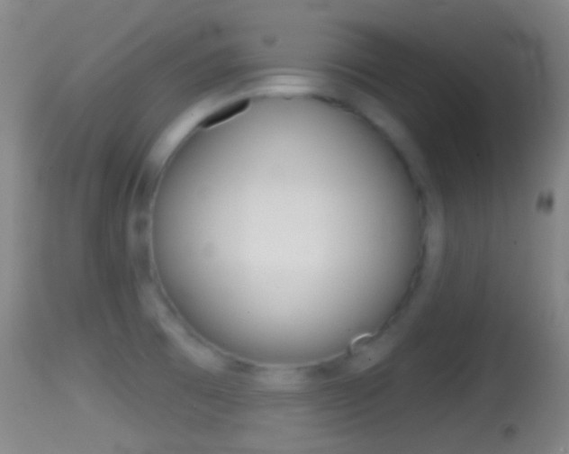 X0000114671473200910210958