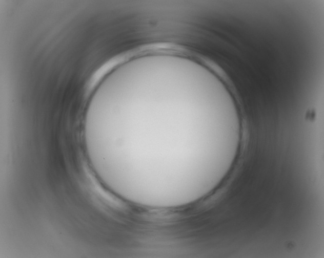 X0000114671474200910210958