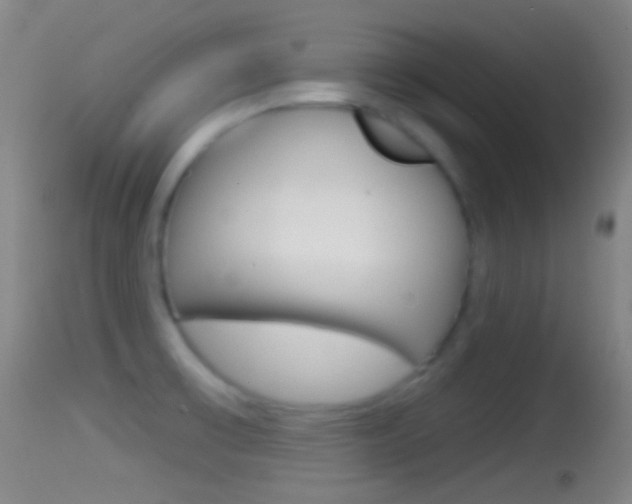 X0000114671475200910210958
