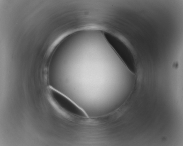 X0000114671476200910210958
